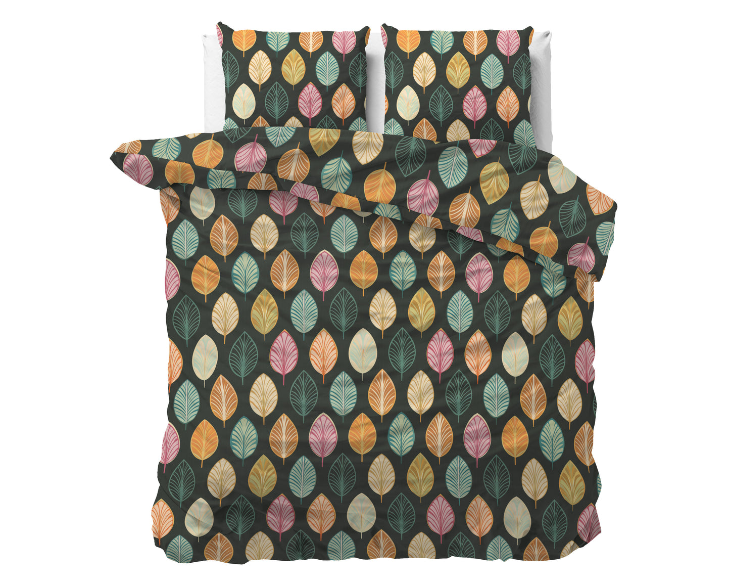 Oscar Multi 240 x 220